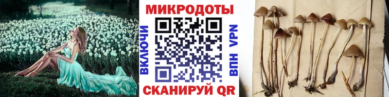 цены наркотик  Балабаново  Псилоцибиновые грибы Cubensis 